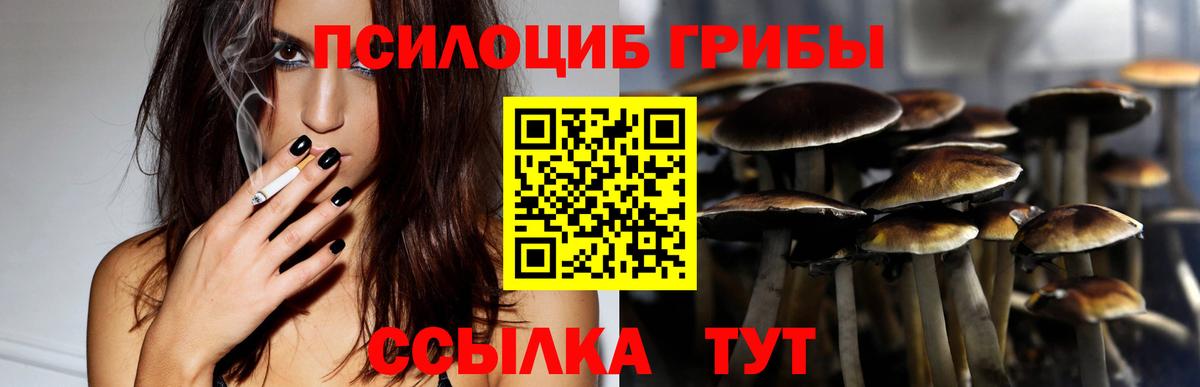 Галлюциногенные грибы Cubensis  Вход с VPN  Псилоцибиновые грибы ЛСД  сколько стоит  Углич 